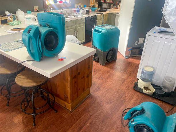 Best Ceiling water damage repair  in Lehigh Acres, FL