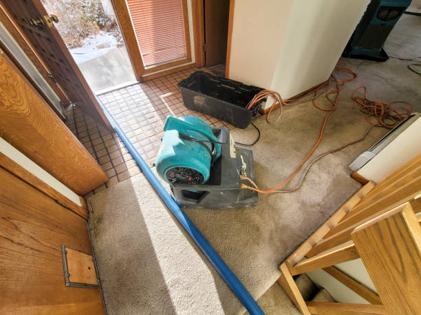 Best Water damage restoration insurance claims  in Lehigh Acres, FL