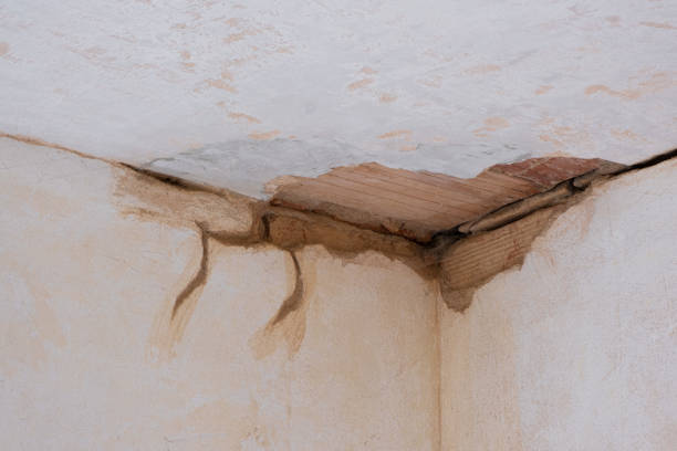 Best Flooded house restoration  in Lehigh Acres, FL