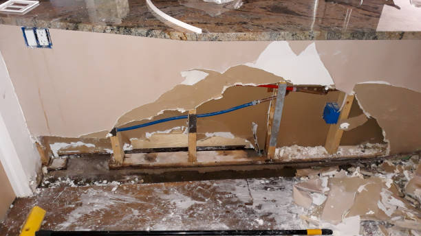Best Carpet water damage restoration  in Lehigh Acres, FL