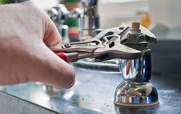 Best Mold removal after water damage  in Lehigh Acres, FL