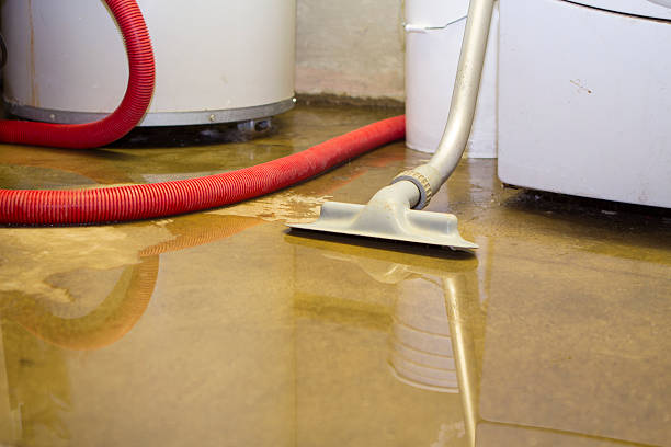 Best 24-hour water damage restoration  in Lehigh Acres, FL