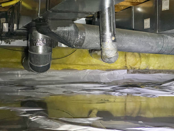 Best Flood restoration services  in Lehigh Acres, FL