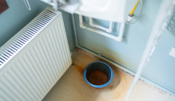 Best Water damage repair service  in Lehigh Acres, FL